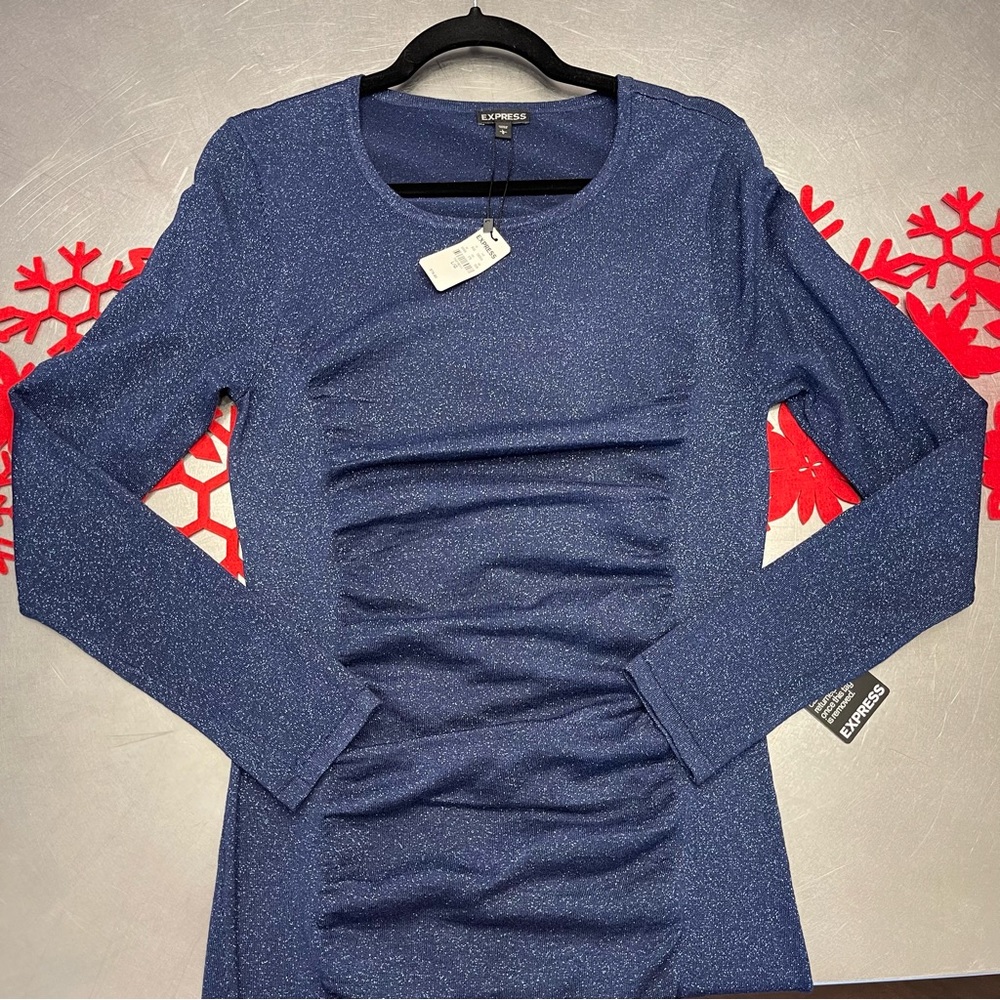 Express Long Sleeve Dress NWT body con ruched